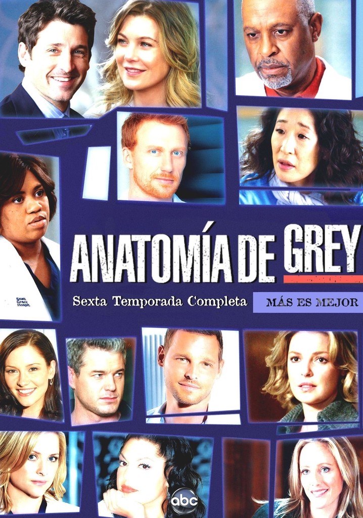 Anatom A De Grey Temporada Ver Todos Los Episodios Online